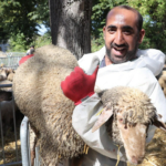 Aïd France