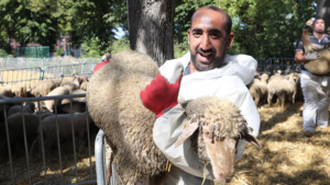 Sournoise manœuvre du Makhzen pour empêcher le sacrifice de l’Aïd en France