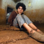 Maroc troubles psychiatriques