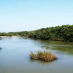 Moulaya
