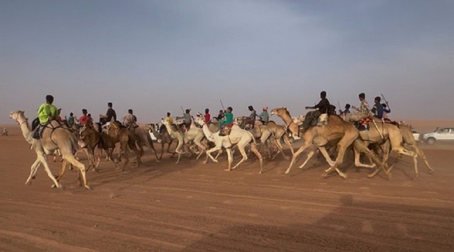 course Méharis