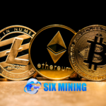 SIX MINING