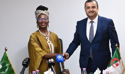Arkab reçoit la Commissaire à l’énergie et aux infrastructures de l’UA