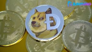 Gagnez 8 260 euros par jour : activez votre machine de minage de BTC avec Dogecoin (DOGE) sur BJMining
