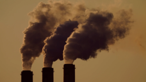 Etats-Unis : ils consomment, ils polluent, ils dominent et ils appellent ça «la liberté»