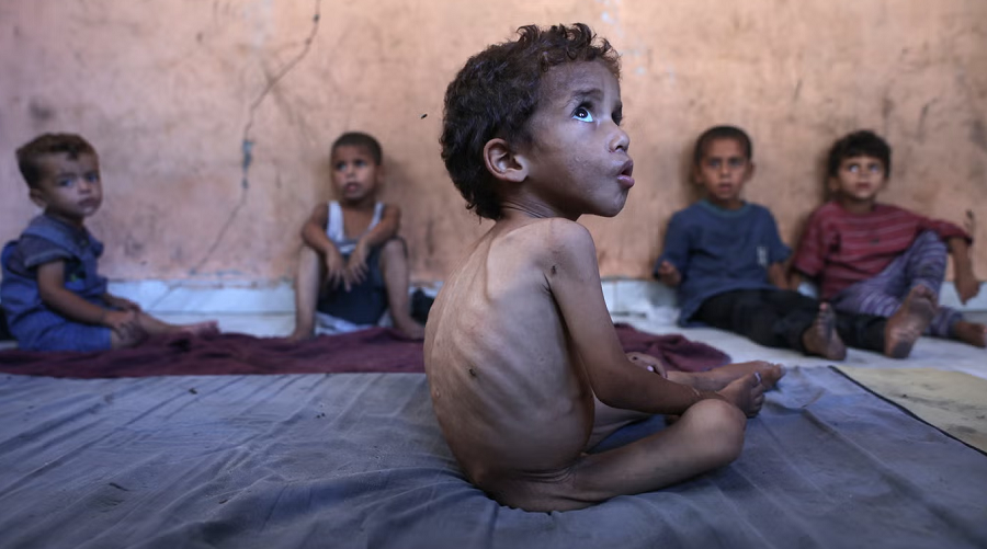 Gaza famine