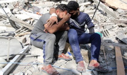 Plus de 15 000 élèves palestiniens tombés en martyrs depuis octobre 2023