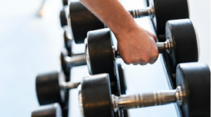 Développement musculaire : les 5 piliers validés par la science pour des résultats durables