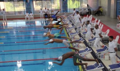 Jeux scolaires africains : la natation algérienne décroche 6 nouvelles médailles