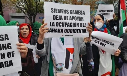 Une ONG dénonce les projets d’hydrogène vert du Maroc au Sahara Occidental