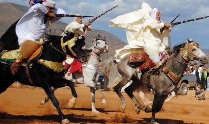 IATF 2025 : la wilaya d’Alger trace un programme culturel et sportif diversifié