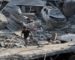 Le génocide des Palestiniens à Gaza continue : 64 756 martyrs et 164 059 blessés