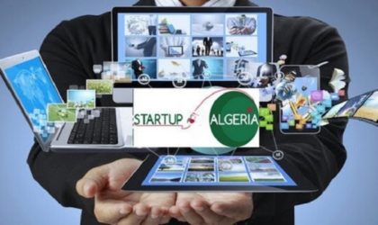 Startups : la 3e édition de Green Impact Bootcamp lancée à Alger